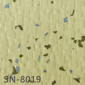 SN-8019