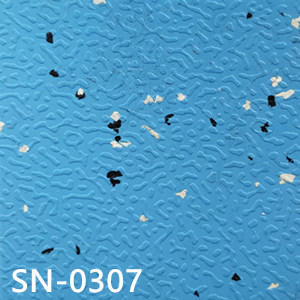 SN-0307