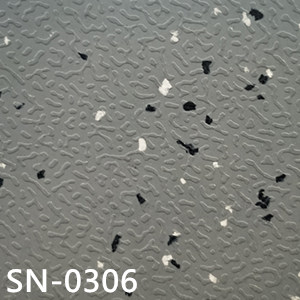 SN-0306