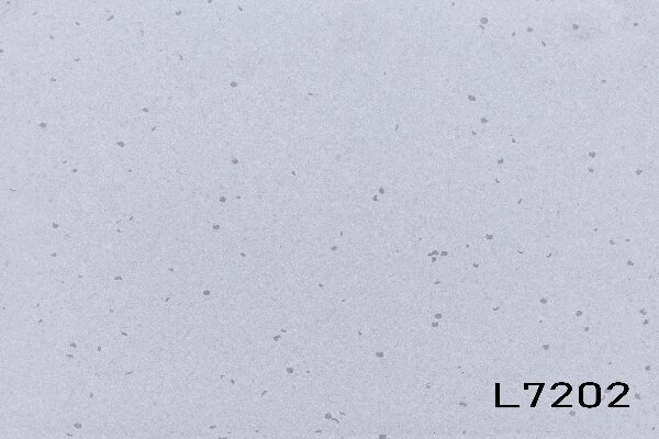 7202