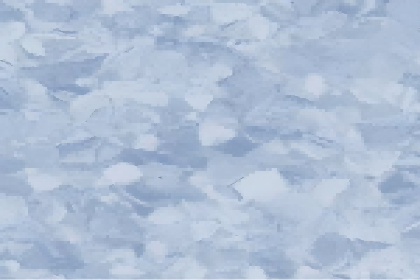 7031